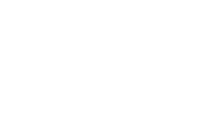 cleaner logo
