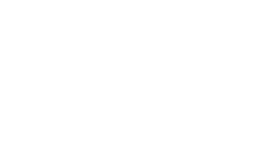 skater logo